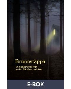 Brunnstäppa: En skräcknovell från serien Rörelser i mörkret, E-bok