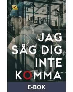 Jag såg dig inte komma, E-bok