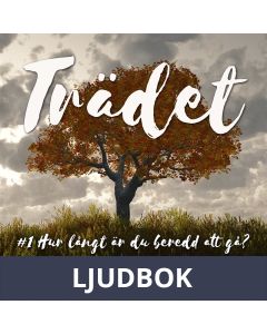Hur långt är du beredd att gå?, Ljudbok