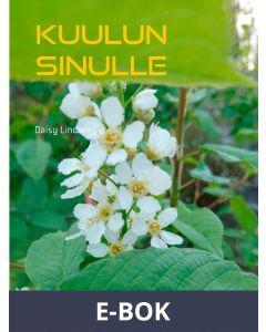 Kuulun Sinulle, E-bok