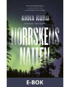Norrskensnatten, E-bok