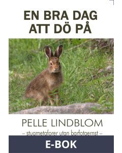 En bra dag att dö på, E-bok