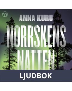Norrskensnatten, Ljudbok