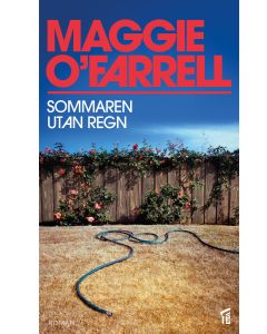 Sommaren utan regn
