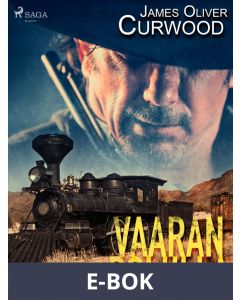 Vaaran polulla, E-bok