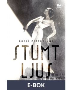 Stumt ljus, E-bok