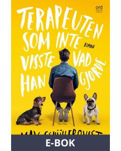 Terapeuten som inte visste vad han gjorde, E-bok