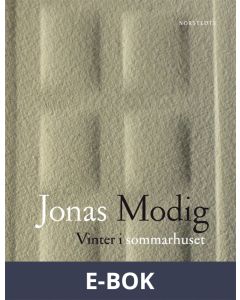 Vinter i sommarhuset, E-bok