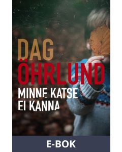 Minne katse ei kanna, E-bok