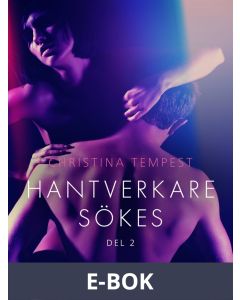 Hantverkare sökes Del 2 - erotisk novell, E-bok