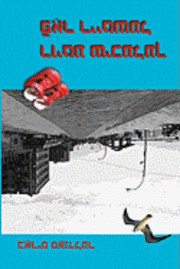 Royte shikhlekh far Reytshl: Tsvey Noveles un dertseylung (Red Shoes for Rachel: Two Novellas and a Story)