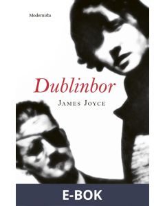Dublinbor, E-bok