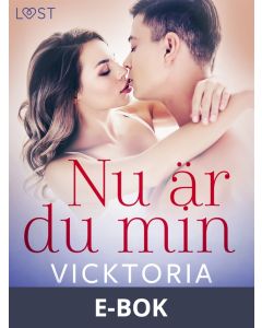 Nu är du min - erotisk novell, E-bok