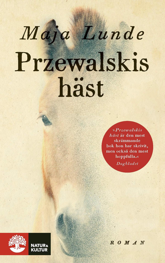 Przewalskis Häst
