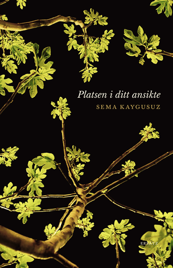 Platsen I Ditt Ansikte