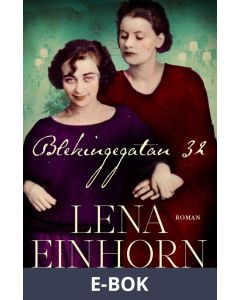 Blekingegatan 32, E-bok