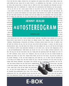 Autostereogram, E-bok