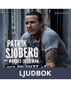 Det du inte såg, Ljudbok