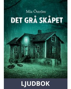 Det grå skåpet, Ljudbok