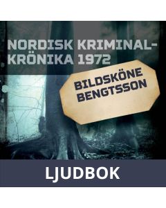 Bildsköne Bengtsson, Ljudbok