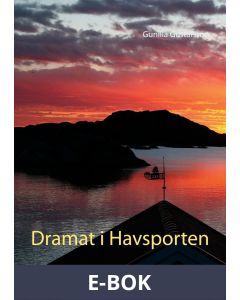Dramat i Havsporten: En berättelse om vad som skulle ha kunnat hända, E-bok