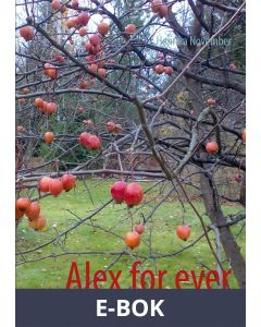 Alex for ever, E-bok