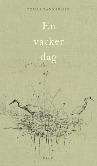 En Vacker Dag