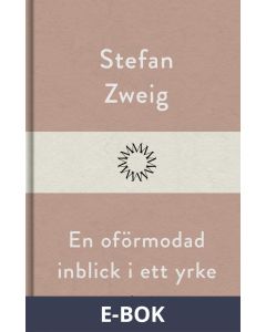 En oförmodad inblick i ett yrke, E-bok