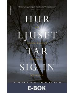 Hur ljuset tar sig in (En kommissarie Gamache-deckare), E-bok