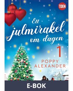 Ett julmirakel om dagen - del 1, E-bok