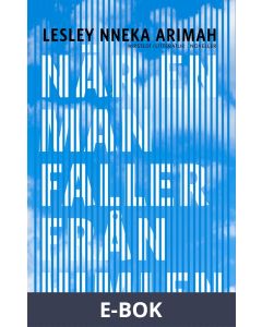 När en man faller från himlen, E-bok