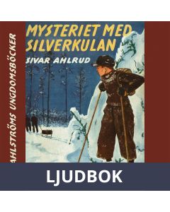 Tvillingdetektiverna 2 - Mysteriet med silverkulan, Ljudbok