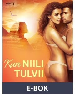Kun Niili tulvii - eroottinen novelli, E-bok