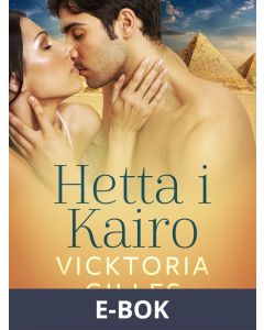 Hetta i Kairo - Erotisk novell, E-bok