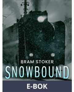 Snowbound, E-bok