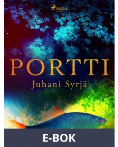 Portti, E-bok