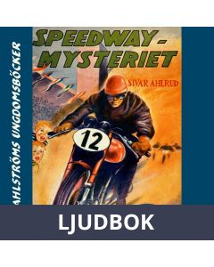 Tvillingdetektiverna 5 - Speedway-mysteriet, Ljudbok