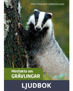 Minifakta om grävlingar, Ljudbok