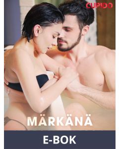 Märkänä uimahallissa, E-bok