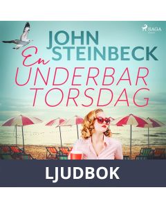 En underbar torsdag, Ljudbok