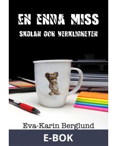 En enda miss : skolan och verkligheten, E-bok