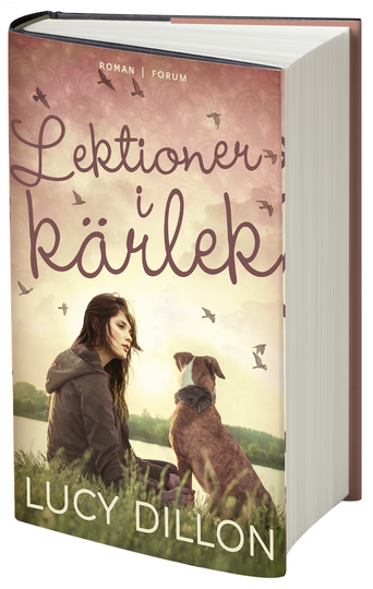 Lektioner I Kärlek