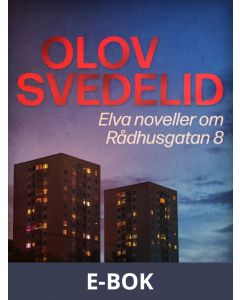 Elva noveller om Rådhusgatan 8, E-bok
