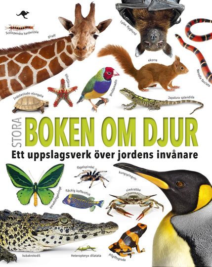 Stora Boken Om Djur - Ett Uppslagsverk Över Jordens Invånare