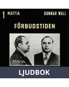Förbudstiden, Ljudbok