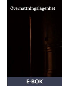Övernattningslägenhet: Rörelser i mörkret, E-bok