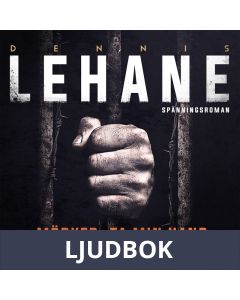 Mörker, ta min hand, Ljudbok