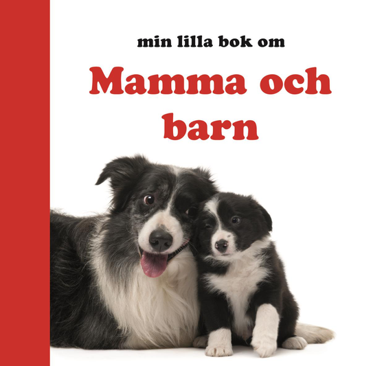 Min Lilla Bok Om Mamma Och Barn