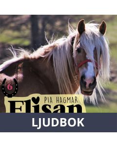 Vänner och ovänner, Ljudbok