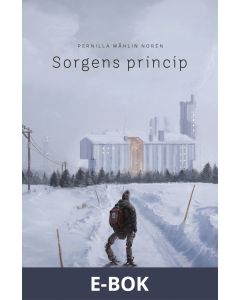 Sorgens princip, E-bok
